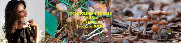 прущие крисы Абаза