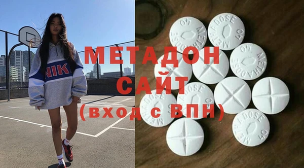 индика Алзамай
