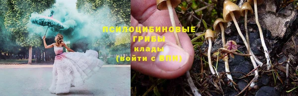 прущие крисы Абаза