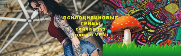 стафф Абдулино
