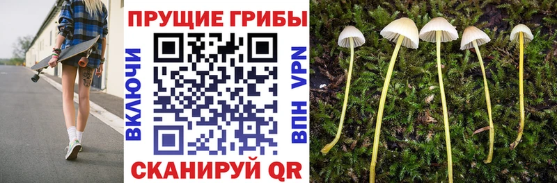 Псилоцибиновые грибы Magic Shrooms  Никольск 